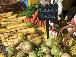 Farmers Market