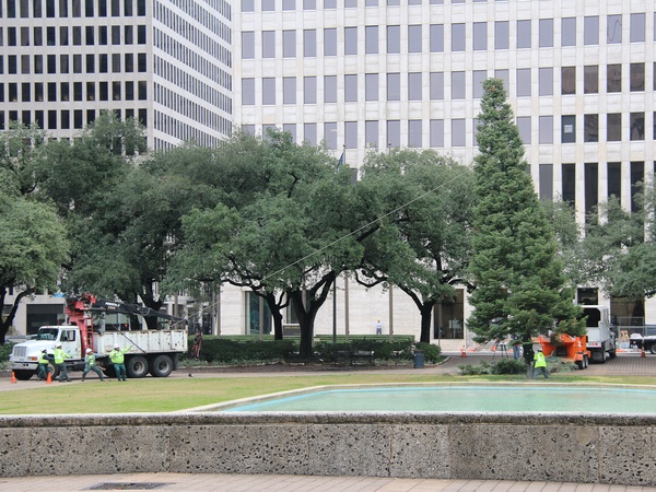 Houston City Hall, Christmas tree, recycling, December 2012
