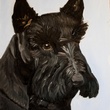 Barney, First Dog, George W. Bush