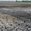 News_El Franco Lee Park_Not much left