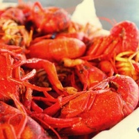 Pearland Crawfish Festival 2014