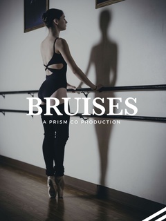 PrismCo presents Bruises: Animal vs. Machine