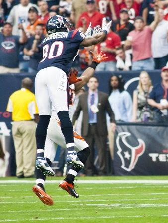 Andre Johnson catch