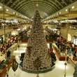Events_Christmas_Tree_1113