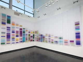 Inner Space, Global Matter: Recording from the Structures Within | Geraldine Ondrizek – Works from 2008 through 2012
