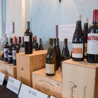 Literacy Coalition Of Central Texas presents Reading Between The Wines