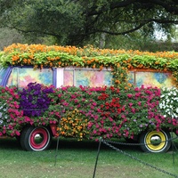 Dallas Arboretum and Botanical Garden presents Dallas Blooms: Flower Power