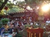 Arden Ward: Unplugged at the Grove embarks on its 20th season of live music, full lineup announced