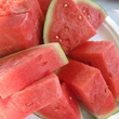 News_watermelon