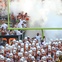 Austin Photo Set: News_kevin_UT football schedule_feb 2012_longhorns