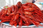 First Annual City of Friendswood Crawfish Festival