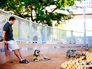 News_Market Square Park_dog run