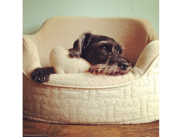 Theresa Escobedo, iPhone class, Houston Center for Photography, January 2013, Untitled (At Home)-3