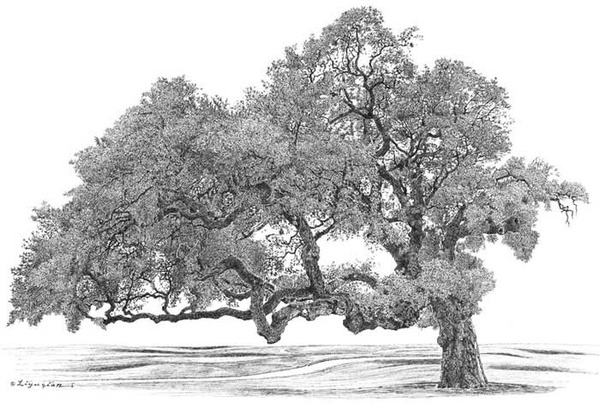 Yan Lee, Big Tree Studios, Burnt Oak, BCAF, Bayou City Art Festival