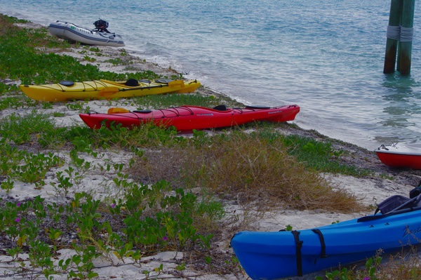 tortugas_kayaks