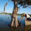 Swamp People, boat, swamp