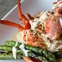 Rainbow Lodge Lobster Thermidoralicous, Lobster Thermidor