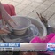Empty Bowls Houston Food Bank CultureMap Moment ceramics