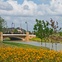 News, Cross Creek Ranch