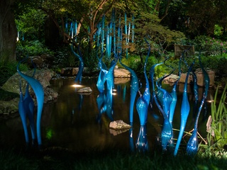 Dallas, Dallas Arboretum, Autumn at the Arboretum, Chihuly, Rod Lindley, Melisa Ambers