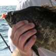 News_Bryan Caswell_deep sea fishing_fish