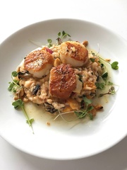 The Grove Wine Bar & Kitchen Scallops