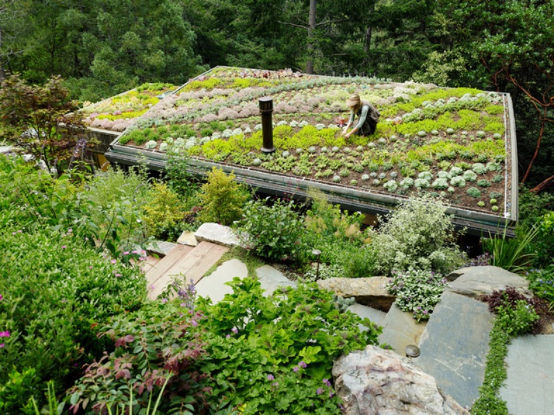 Houzz garden design 2