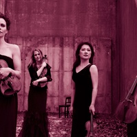 Daedalus Quartet