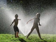 News_sprinklers_kids