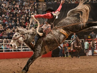 San Antonio Stock Show & Rodeo