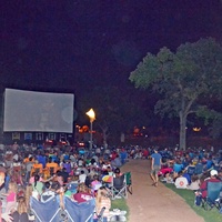 101X Summer Cinema