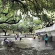 Austin Photo Set: Caitlin_waller creek winner_oct 2012_wall