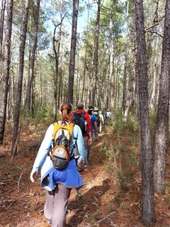 Bayou City Outdoors and REI present "Hiking 101"
