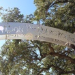 Woodrow Wilson Montessori Elementary_Wilson Wonderground_SPARK Park