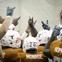 Austin Photo Set: News_Kevin_UT Prognostication_August 2011_team horns