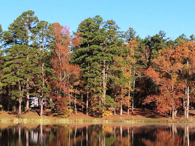 Tyler State Park