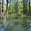 Austin Photo Set: News_Peter Lewis_Swimming Holes_blue hole_wimberley_june 2011_manue reynolds