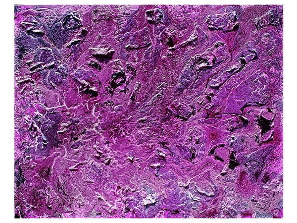Richard Grieco, September 2012, Oceans of Mars 2
