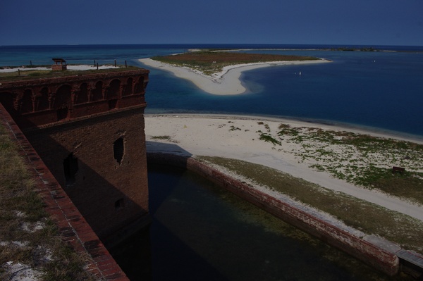tortugas_bush_key