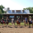 News_Lost Pines_April 2012_horses