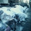 News_Leslie_trash_garbage