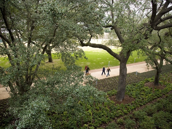 Places-Unique-Discovery Green walkers
