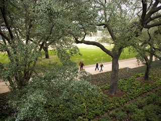 Places-Unique-Discovery Green walkers