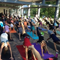UMLAUF Sculpture Garden presents UMLAUF Free Day of Yoga