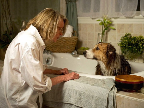 News_Darling Companion_Diane Keaton