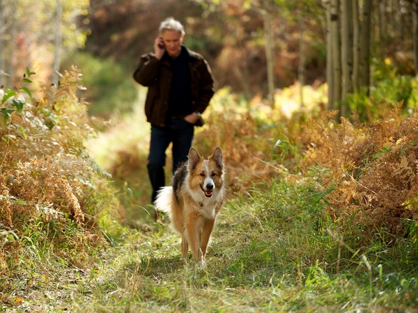 News_Joe Leydon_Kevin Kline_May 2012_Kline_Walking Dog