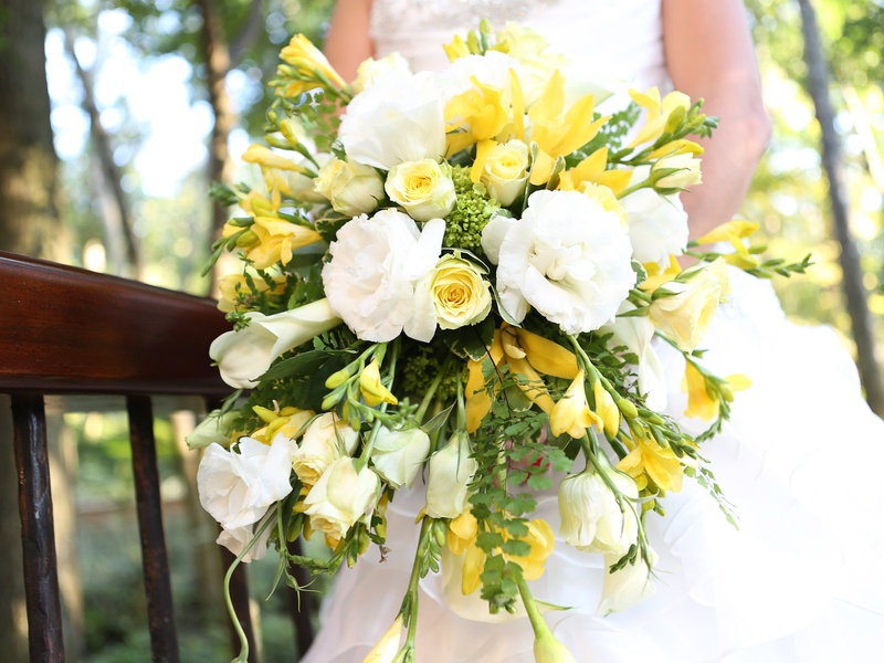 Wonderful Weddings, Scheyla and David, February 2013