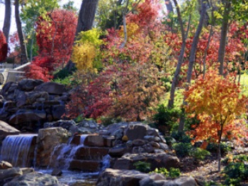Dallas Arboretum and Botanical Garden
