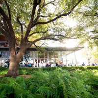 The Grove Houston patio November 2014
