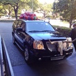 Hotel ZaZa, car, basketballs, longhorn